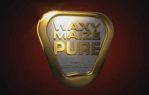 Waxy Maize Pure